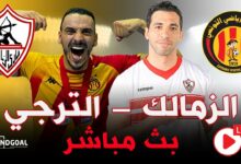 نصف نهائي بطولة إفريقيا لكرة اليد