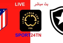 أتليتيكو مدريد ضد بوتافوغو