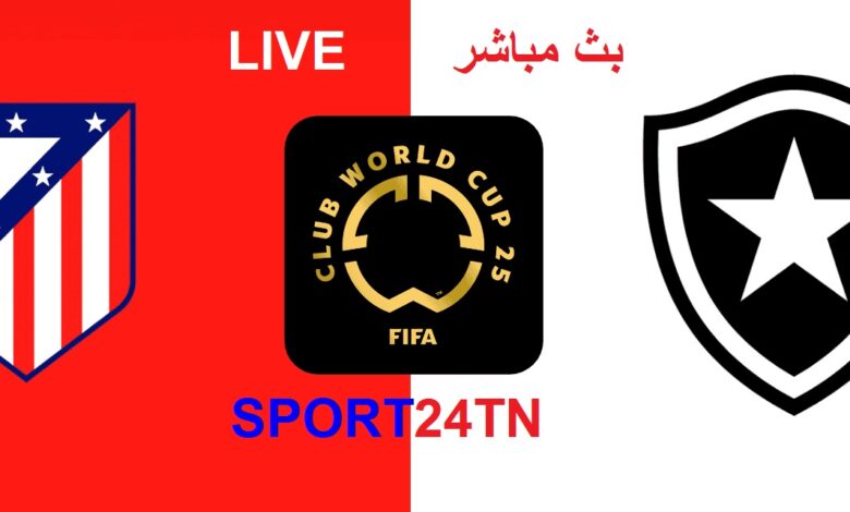 أتليتيكو مدريد ضد بوتافوغو