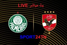 الأهلي ضد بالميراس