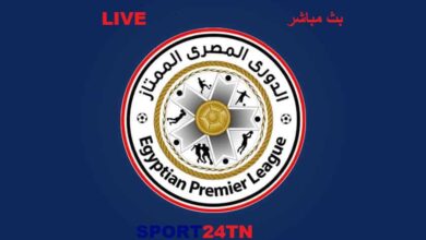 الدوري المصري