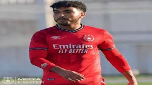 محمد أمين الناوي
