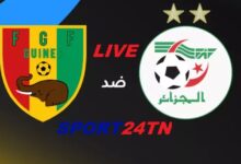 الجزائر ضد غينيا