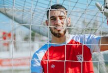 مهيب الشامخ