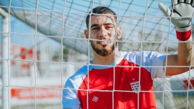 مهيب الشامخ