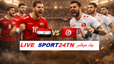 نهائي كرة اليد