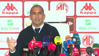 صبري اللموشي