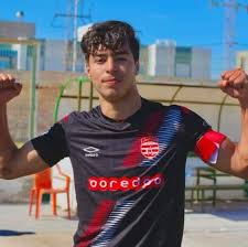 ضياء الدين الشيحي