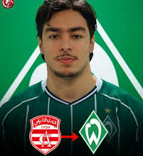 ضياء الدين الشيحي