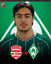 ضياء الدين الشيحي